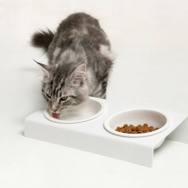 But Yet 不一而作 Cat Eatery Set [2 Bowls + Bracket Stand] 貓狗寵物飲食餐盤連陶瓷碗兩個