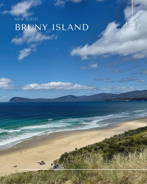 ETM Remedies THE WANDER Soy Wax Candle [Pet Friendly] (Bruny Island 布魯尼) 250g/35hrs